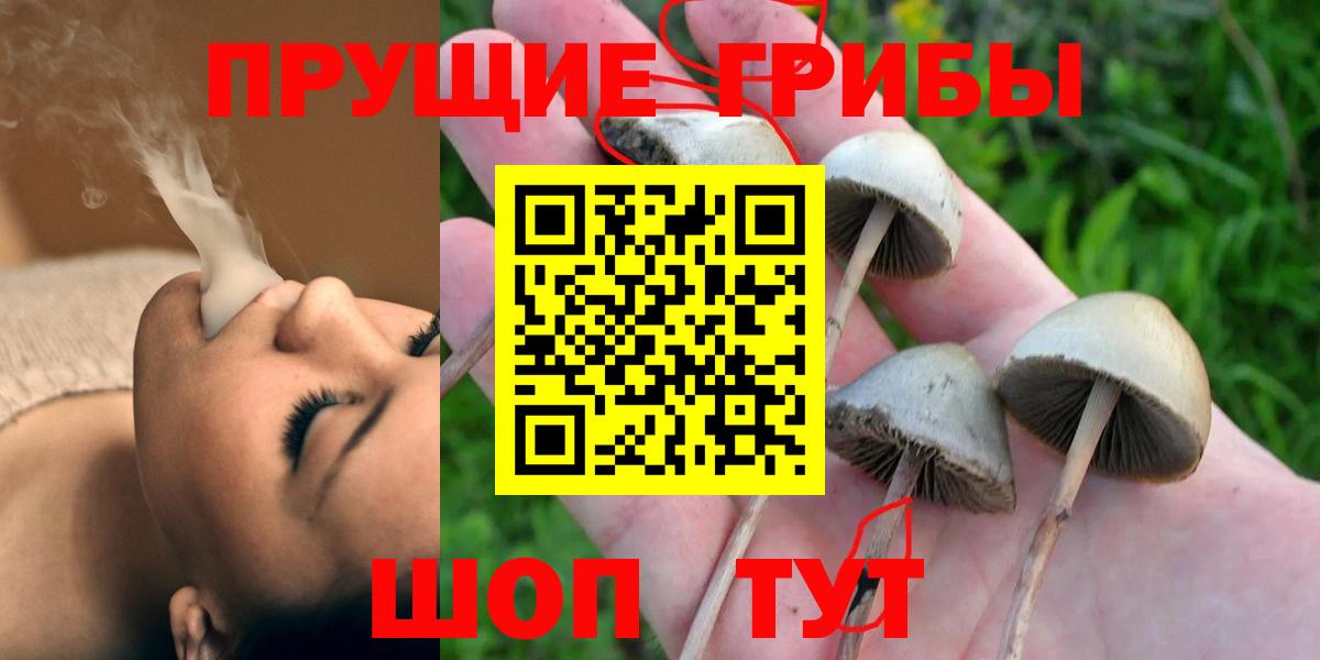 Белогорск  Галлюциногенные грибы Psilocybine cubensis  Вход с VPN  Псилоцибиновые грибы Psilocybe 